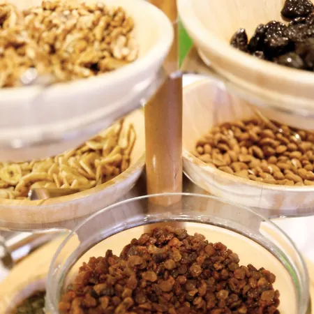 Sonnenhotel Hafnersee Keutschach am See